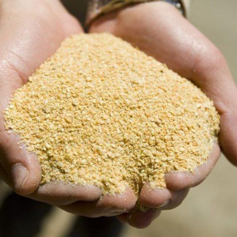SOYBEAN MEAL SOYBEAN MEAL
