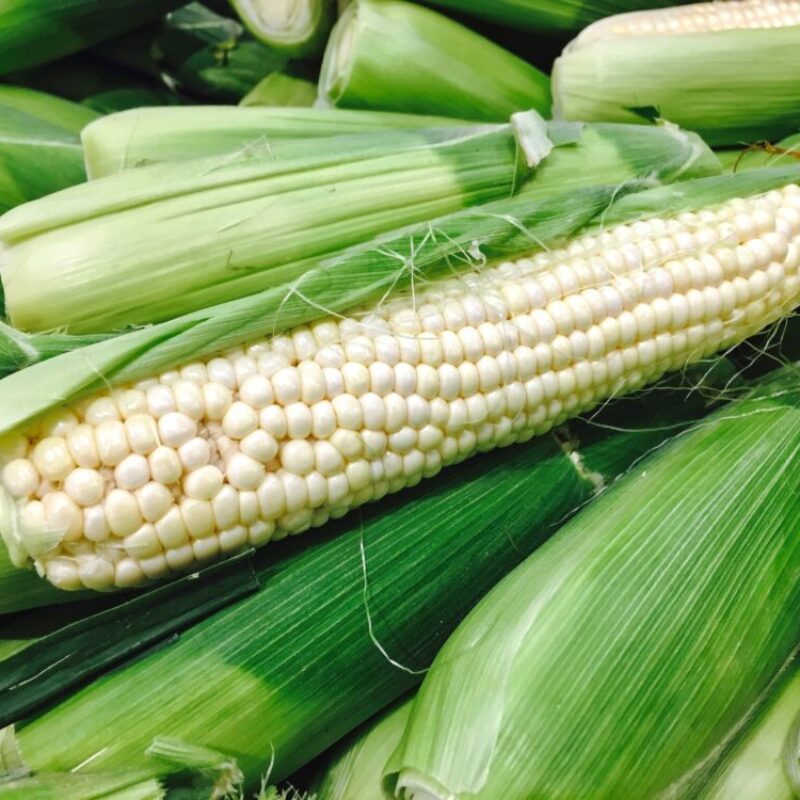 Fresh and delicious white corn on the cob!! Fresh and delicious white corn on the cob!!