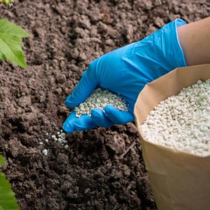 npk-fertilizer npk-fertilizer