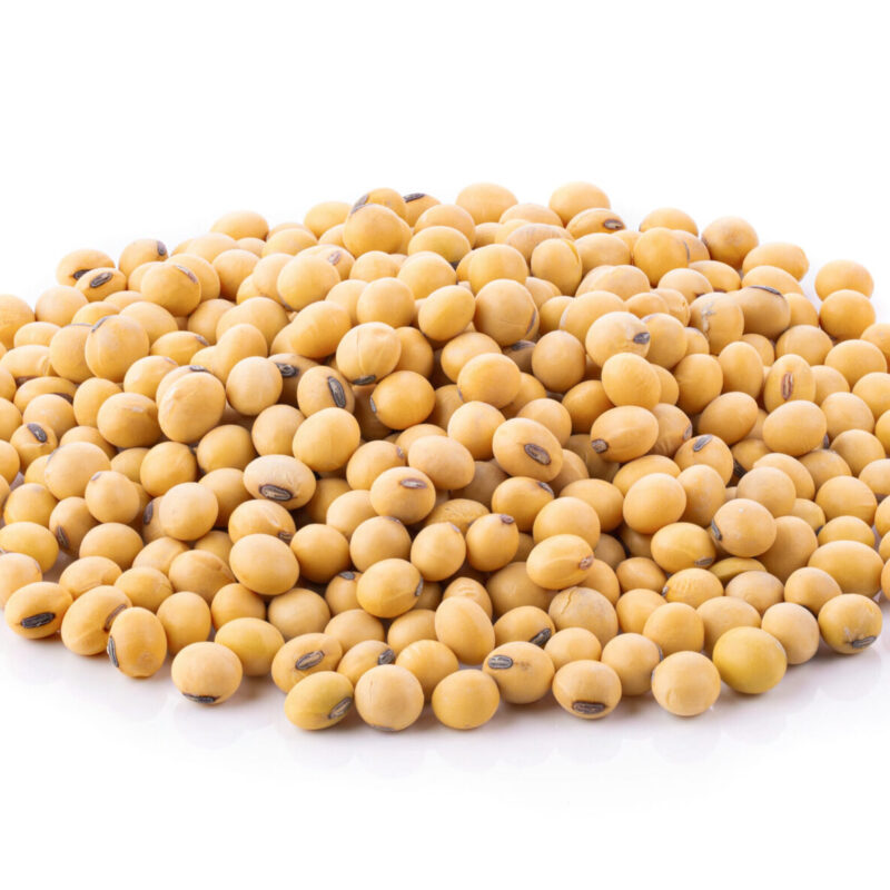 soy beans on white background soy beans isolated on white background