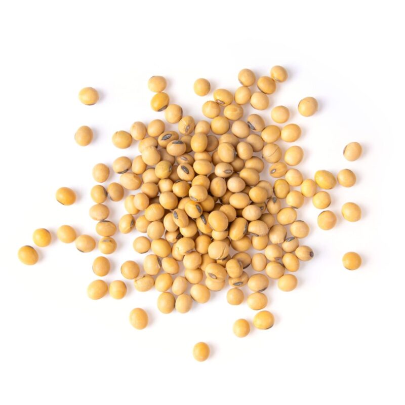 Soy beans on a white background, top view. Soy beans on a white background, top view.