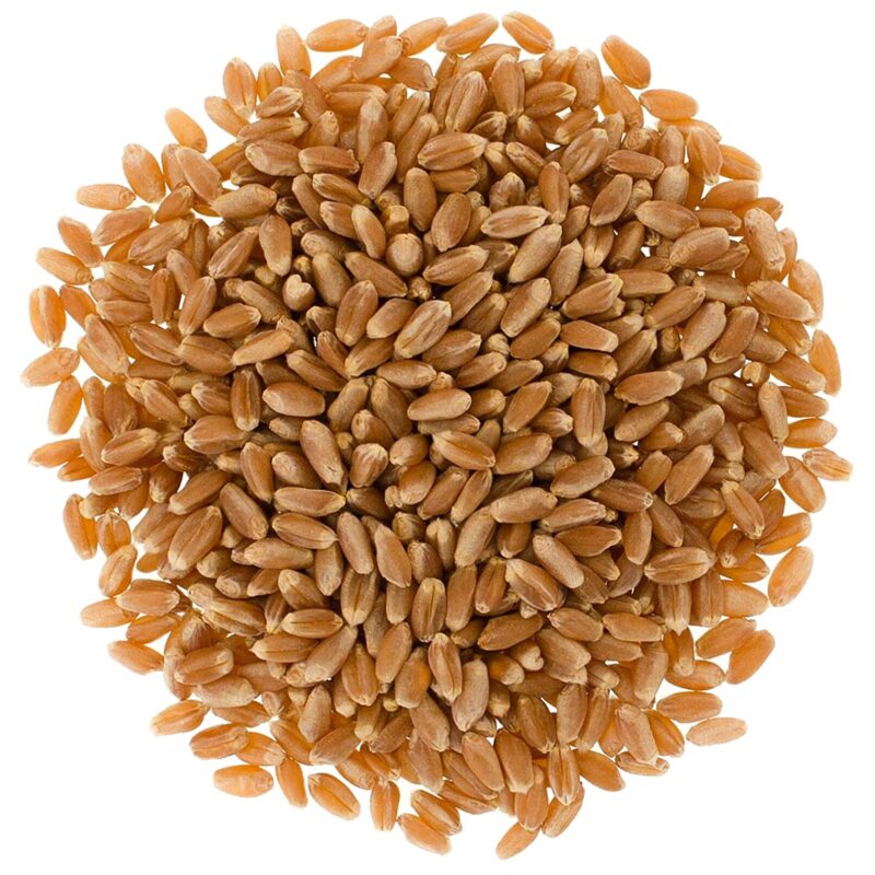 wheat red wheat red