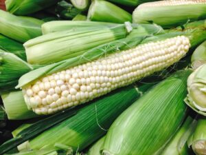 Fresh and delicious white corn on the cob!!
